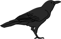 crow