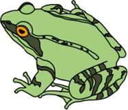 frog