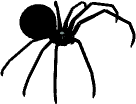 spider