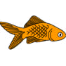 Goldfish