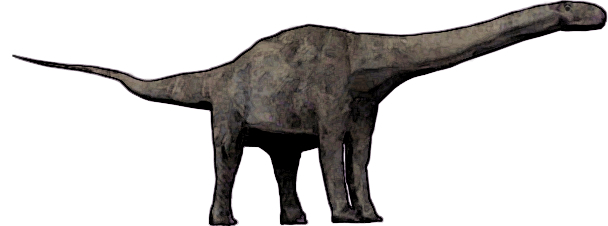 Cetiosaurus