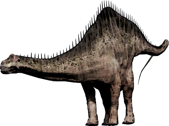 Diplodicus