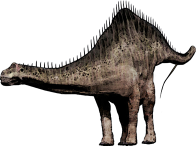 Diplodicus