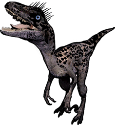 Dromaeosaurus