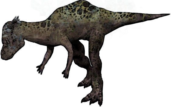 Pachycephalosaurus