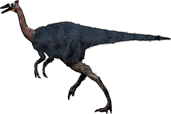 Pelecanimimus