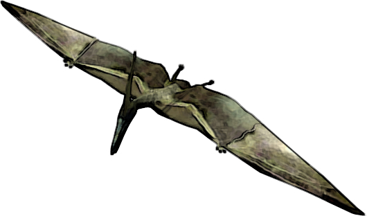 Pteranodon