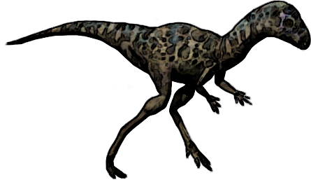 Xiaosaurus