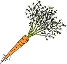 carrot