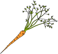 carrot