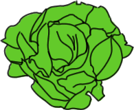 lettuce