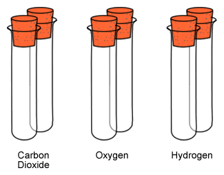 test tubes