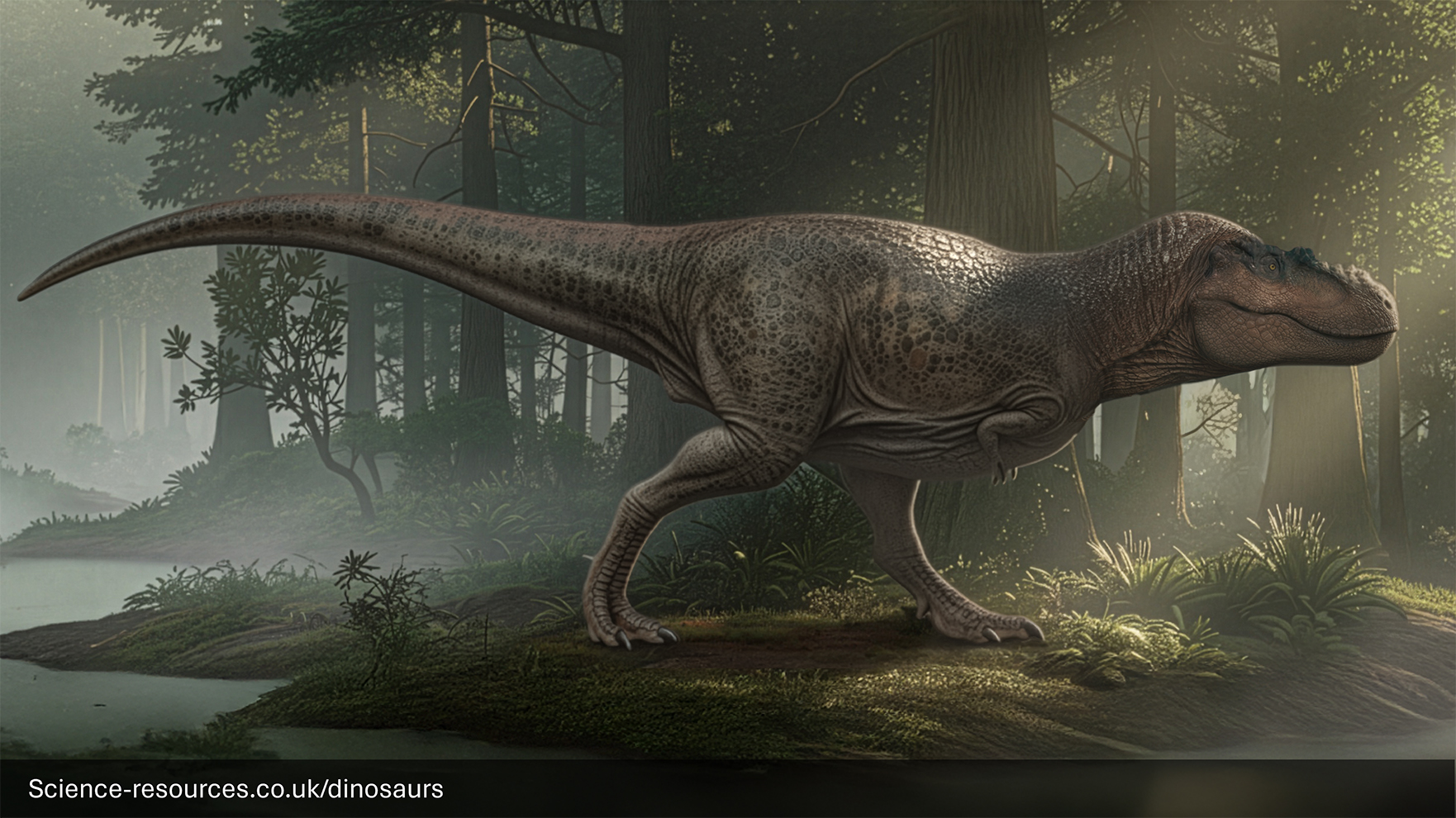 A realistic rendering of an Albertosaurus dinosaur in a prehistoric floodplain surrounded by trees..