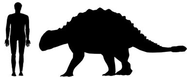 ankylosaurus size