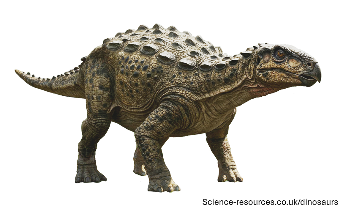 A realistic rendering of an Antarctopelta dinosaur on a white background.