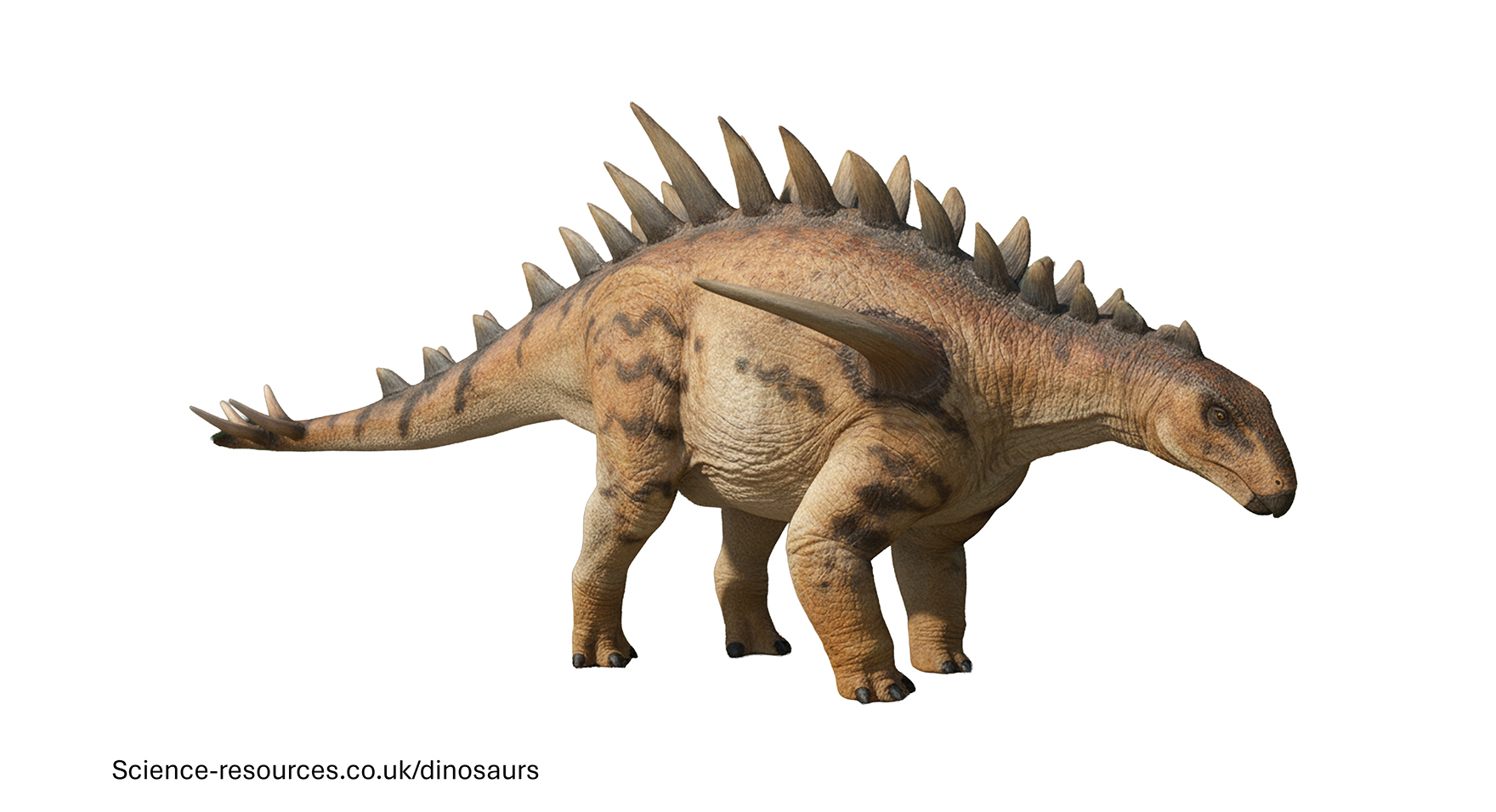 Huayangosaurus A realistic image of a Huayangosaurus dinosaur.