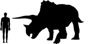 triceratops size