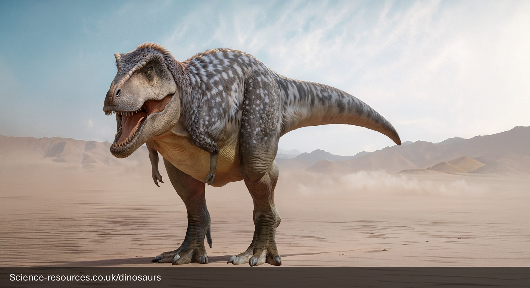 The image is an illustration of a partially feathered Tyrannosaurus Rex in a Cretaceous forest.