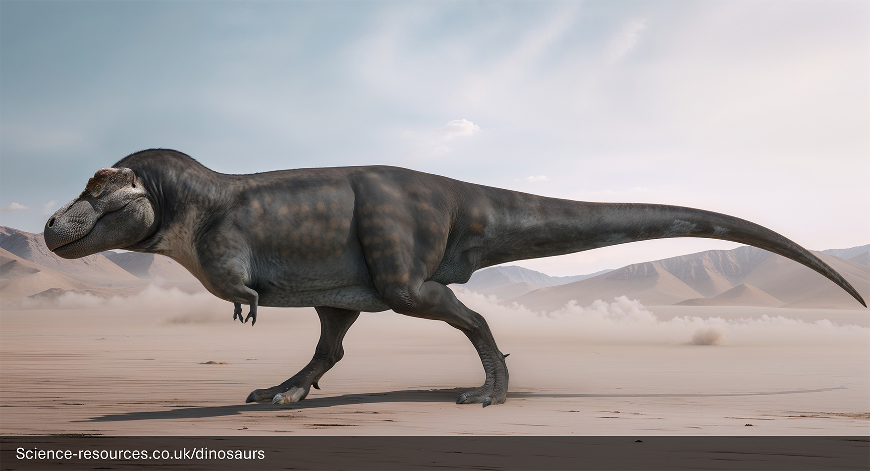 A 2024 / 2025 modern realistic rendering of a Tyrannosaurus rex in a forest setting. The dinosaur is shown mid-roar, with its mouth open wide, exposing its sharp teeth. It’s surrounded by tall trees and the ground is covered with grass and ferns. Sunlight filters through the trees, casting an ethereal glow on the scene.