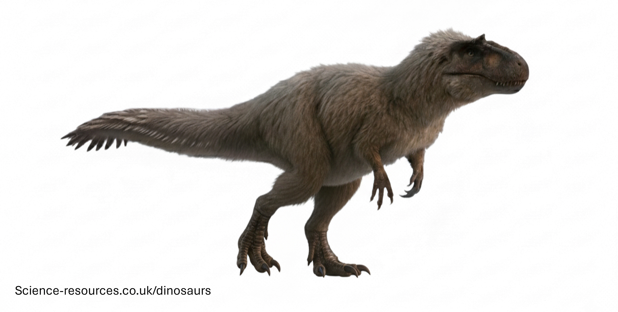 A realistic rendering of an Yutyrannus dinosaur on a white background