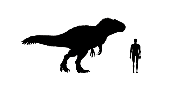 Image showing a size comparison between an adult Yutyrannus dinosaur (left) versus a human adult (right).