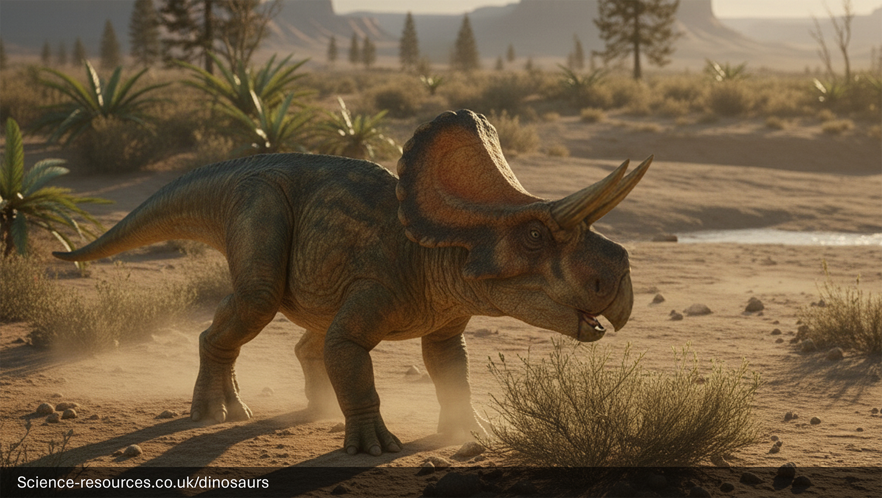 A realistic rendering of a Zuniceratops in a prehistoric desert.

 dinosaur in a prehistoric foreest setting.