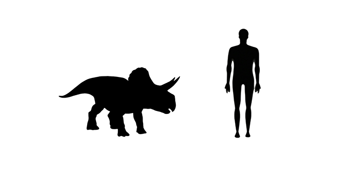 mage showing a size comparison between an adult Zuniceratops

 dinosaur (right) versus a human adult (left).