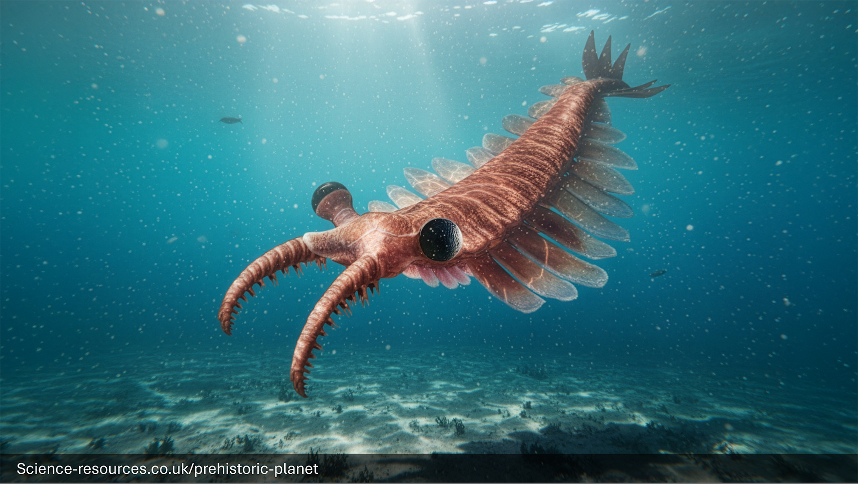 A realistic image of a Anomalocaris in a prehistroic forest.