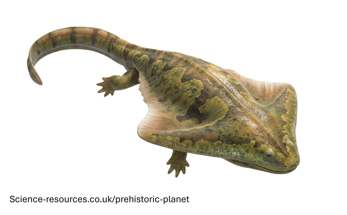 A photo realistic image of an Diplocaulus on a white background