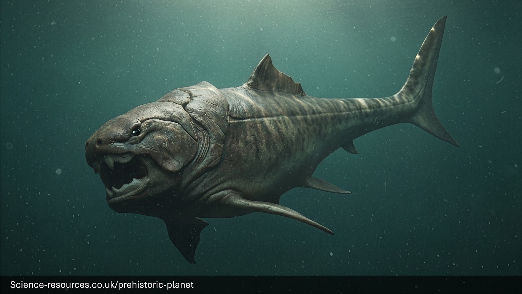 A realistic depiction of a Dunkleosteus iswimming in a prehistoric ocean.
