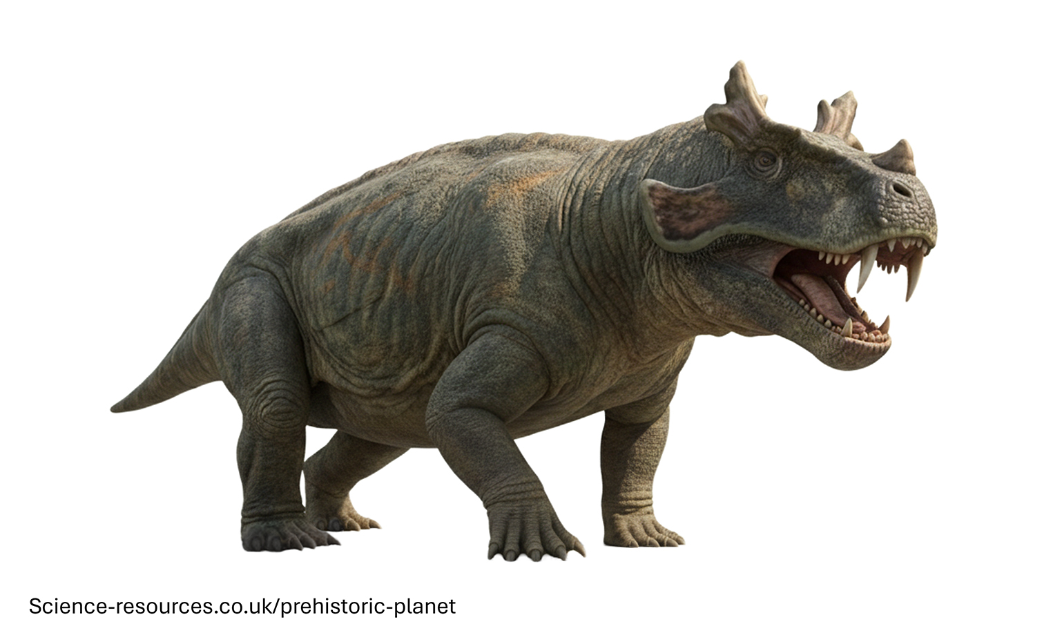 A photo realistic image of an Estemmenosuchus on a white background