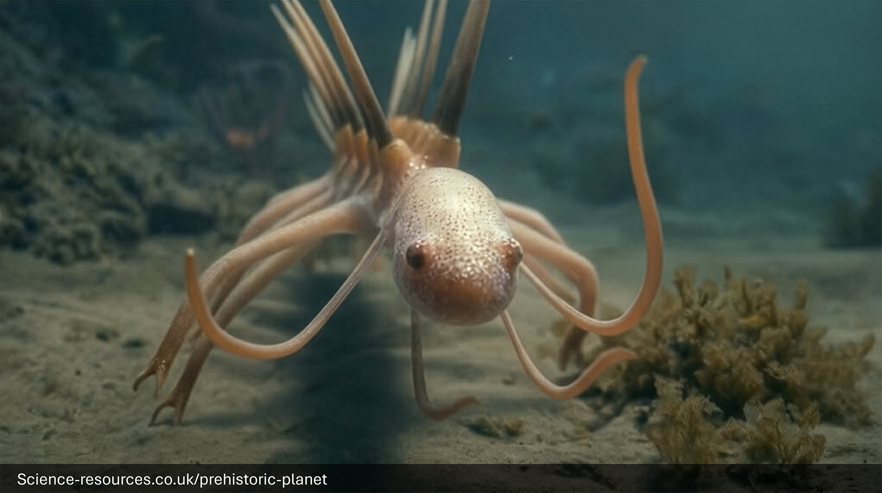 A realistic close-up macro image of a Hallucigenia on a Cambrian sea floor. Hallucigenia used its soft tentacle-like limbs to move and gather food.
