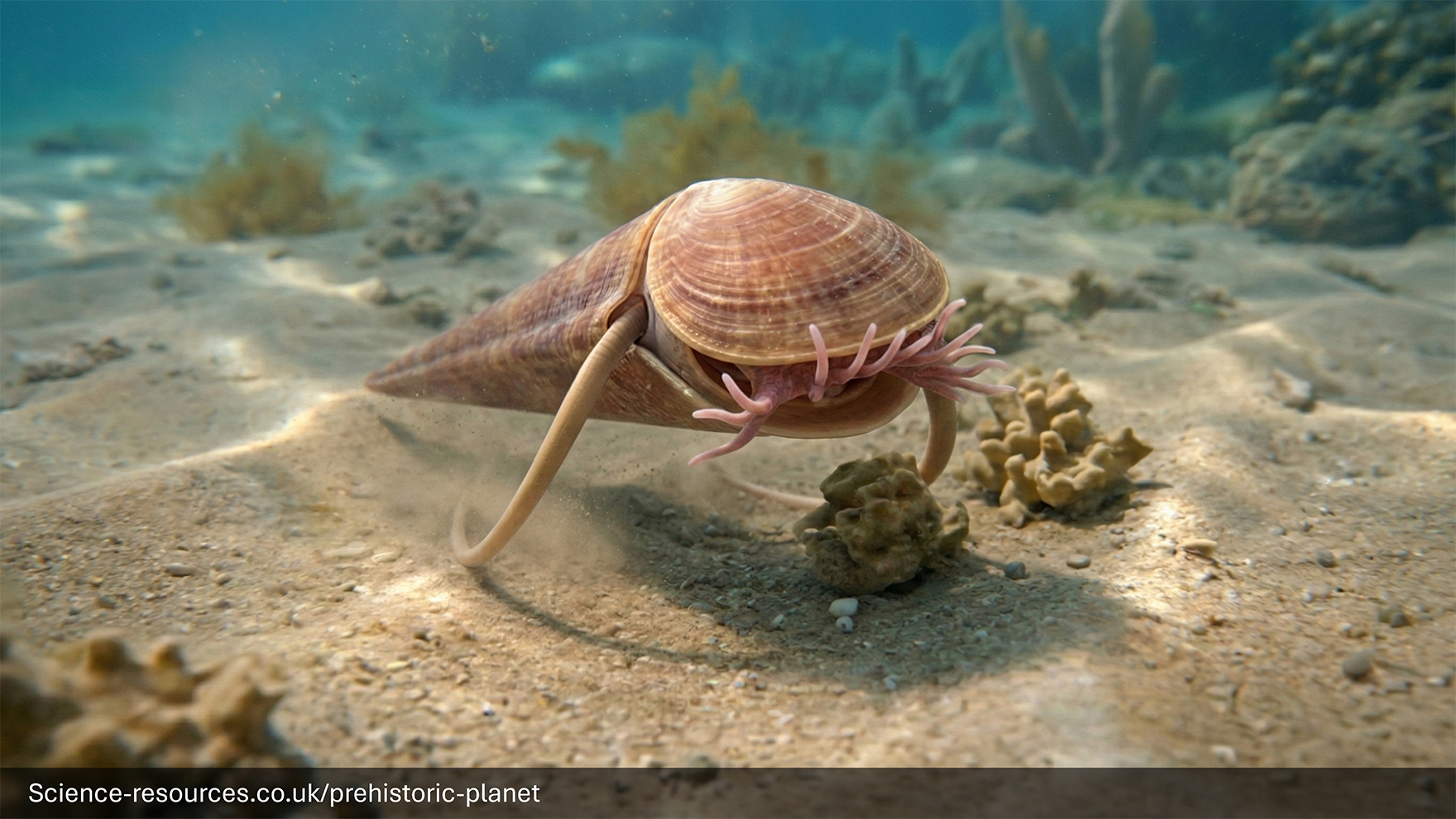 Haplophrentis moved by using a pair of long, curved spines called helenes that acted like oars on a rowboat.