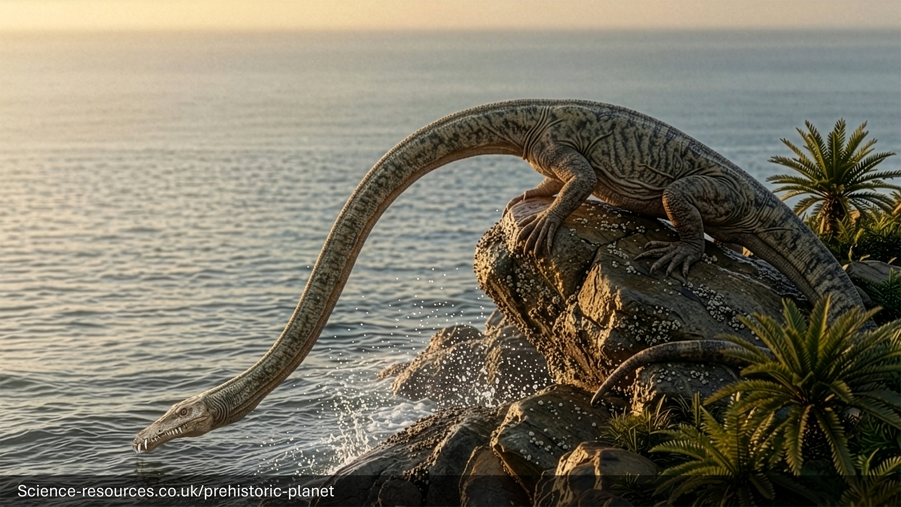 A realistic image of a Tanystropheus basking on a rock by a prehistroic ocean.