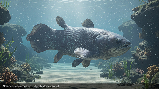 Coelacanth 