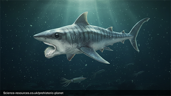 Helicoprion