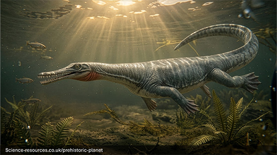 Mesosaurus thumbnail image.