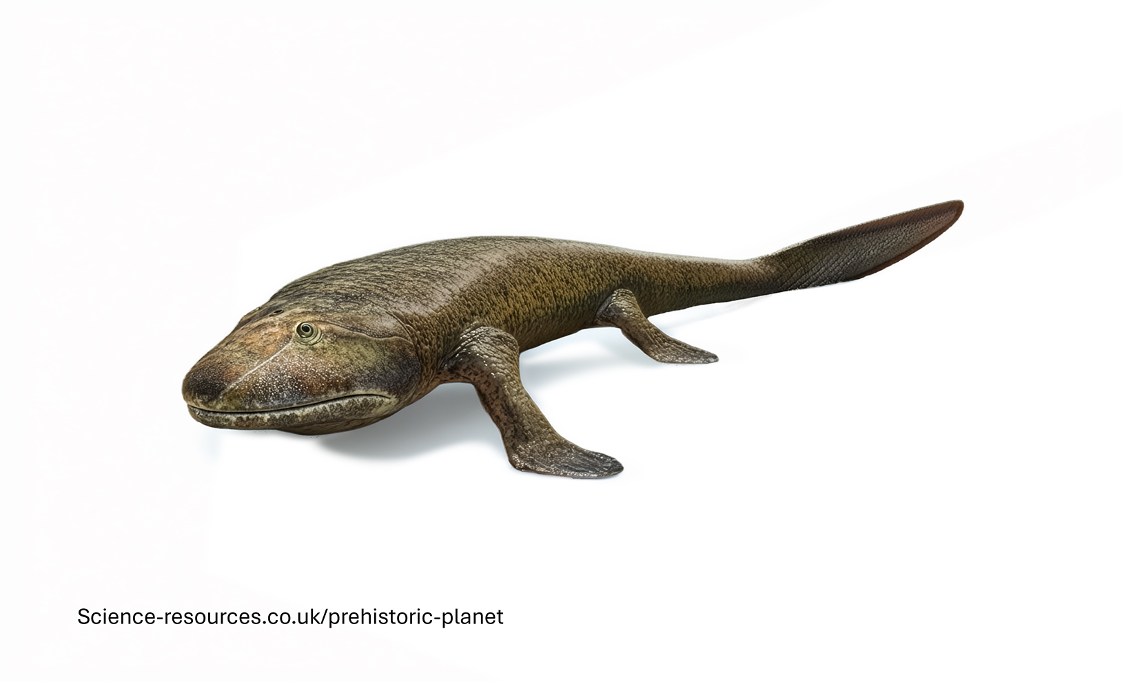 A photo realistic image of an Tiktaalik on a white background