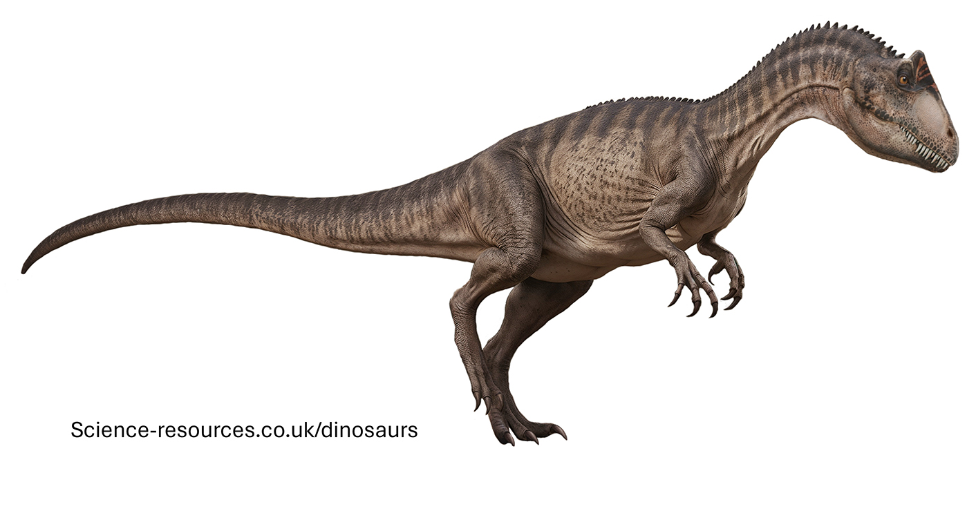 A realistic image of a Allosaurus dinosaur.