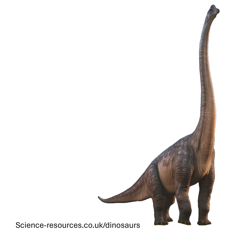 A realistic image of a Brachiosaurus dinosaur.