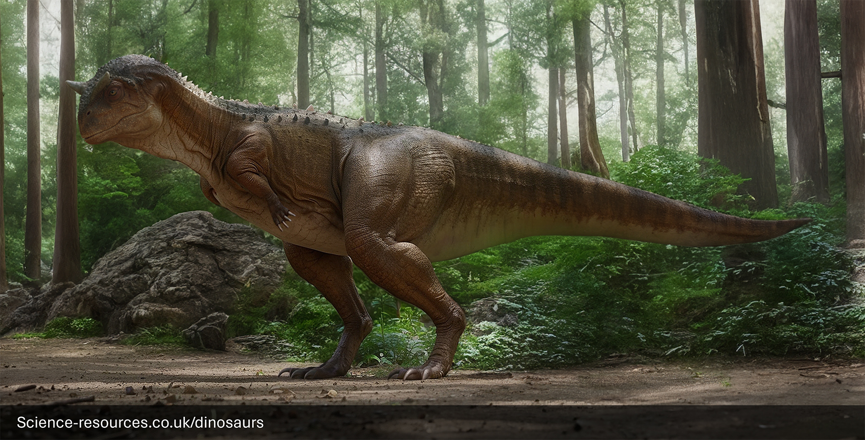 A realistic rendering of a Carnotaurus dinosaur in a forest setting. The dinosaur is shown walking through the forest. It’s surrounded by tall trees and the ground is covered with grass and ferns. Sunlight filters through the trees, casting an ethereal glow on the scene.