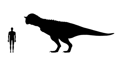 Image showing a size comparison between an adult Carnotaurus dinosaur (right) versus a human adult (left).