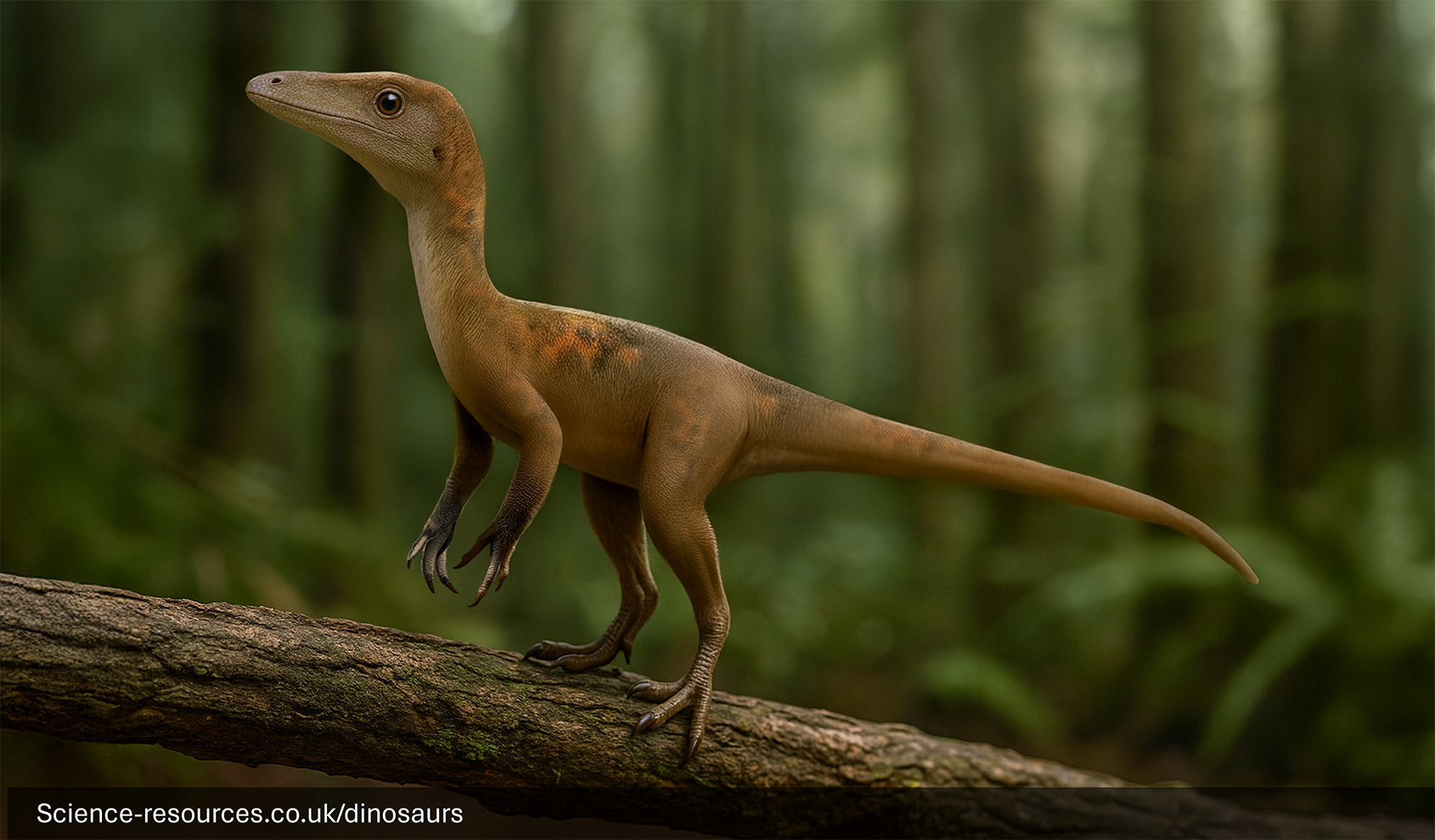 The image portrays a realistic rendering of an Compsognathus dinosaur in a prehistoric forest setting. The Compsognathus is perched on a fallen tree branch, surrounded by dense green trees and vegetation.