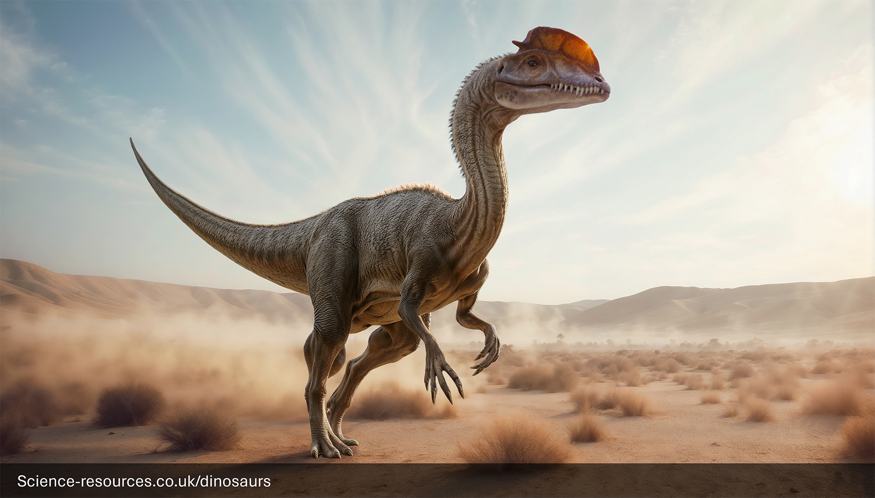 A realistic rendering of a Dilophosaurus dinosaur in a prehistoric desert setting. The dinosaur is surrounded by sand dunes.