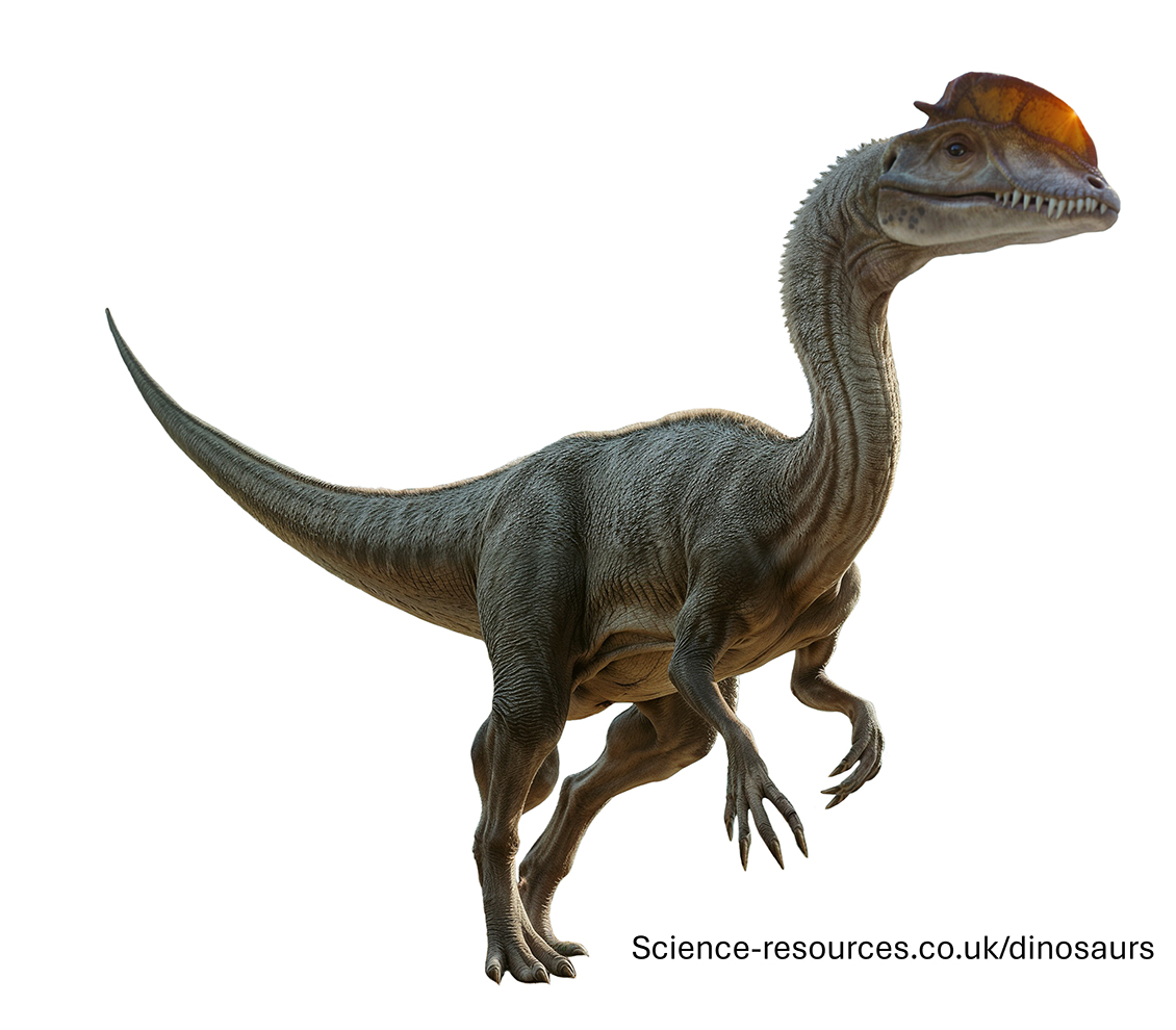 A realistic image of a Dilophosaurus dinosaur.
