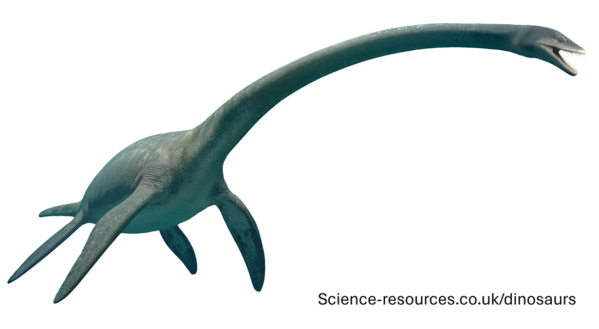 A realistic image of Elasmosaurus.