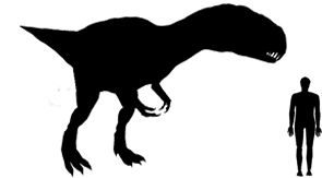 Eustreptospondylus size compared to a human adult.