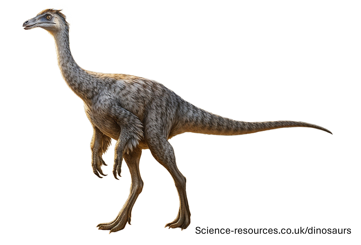 A realistic image of a Gallimimus dinosaur.