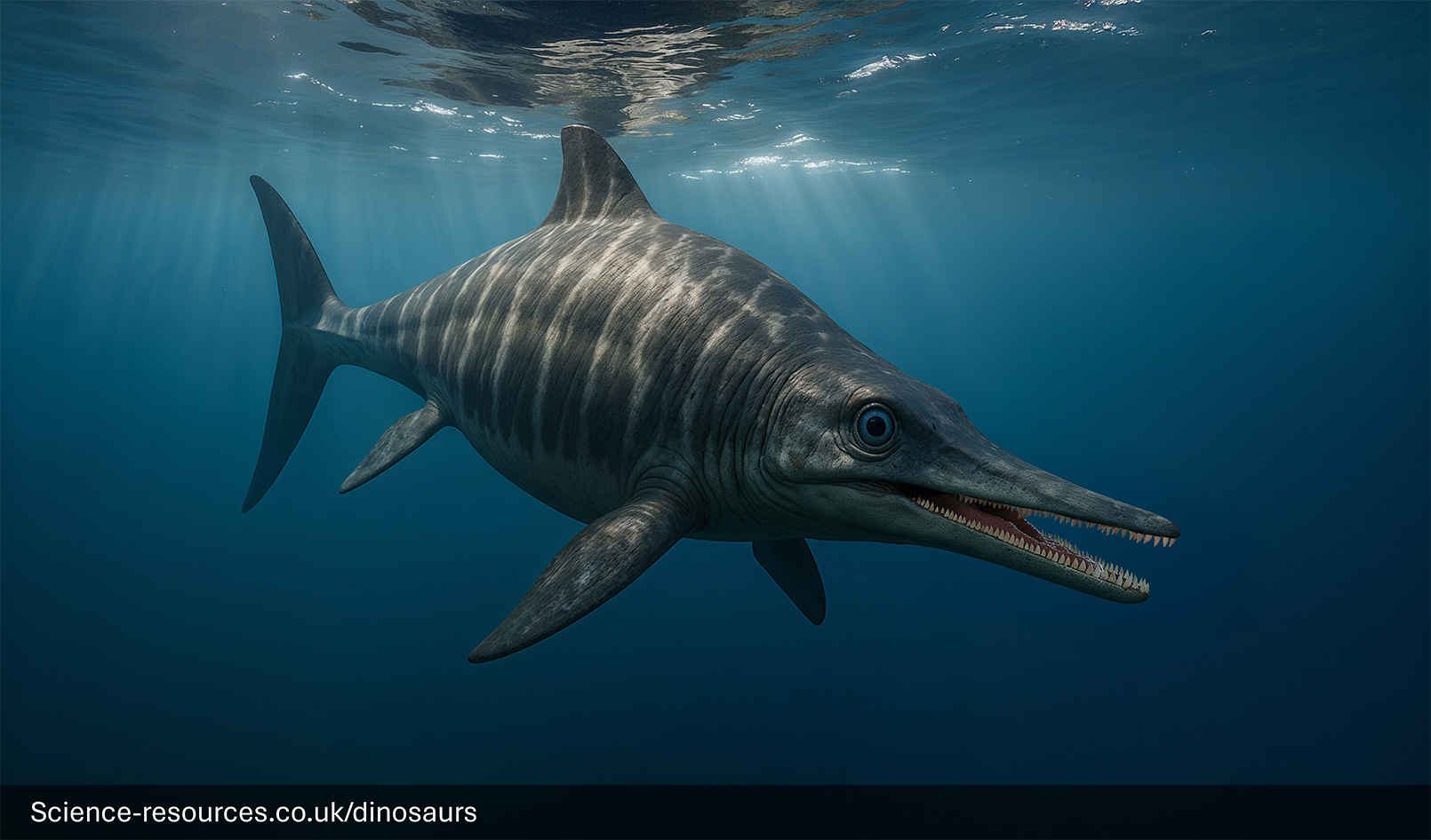 A realistic depiction of an Ichthyosaurus swimming in a prehistoric ocean.