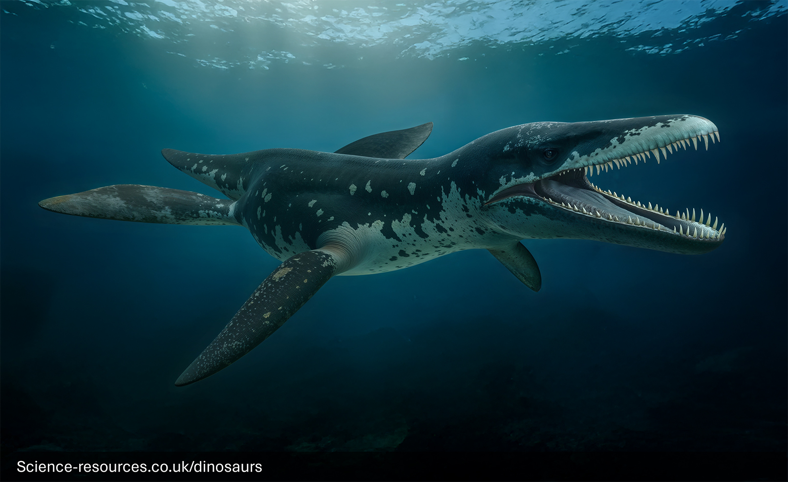 A realistic depiction of an Liopleurodon swimming in a prehistoric ocean.